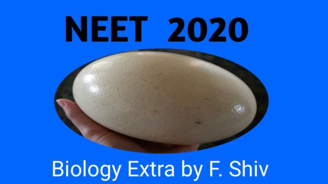 NEET