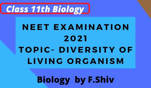 NEET EXAMINATION 2021