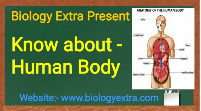 website post