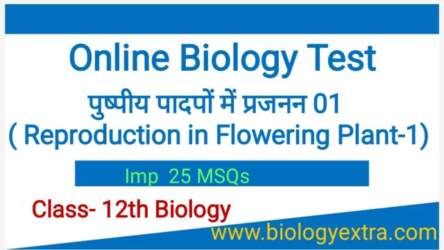 FOR WEBSITE