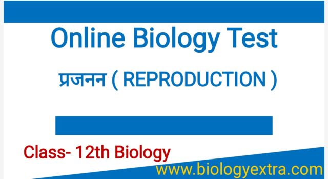 for website