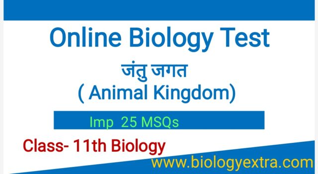 for website