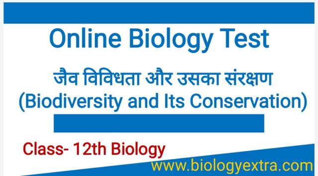 for website