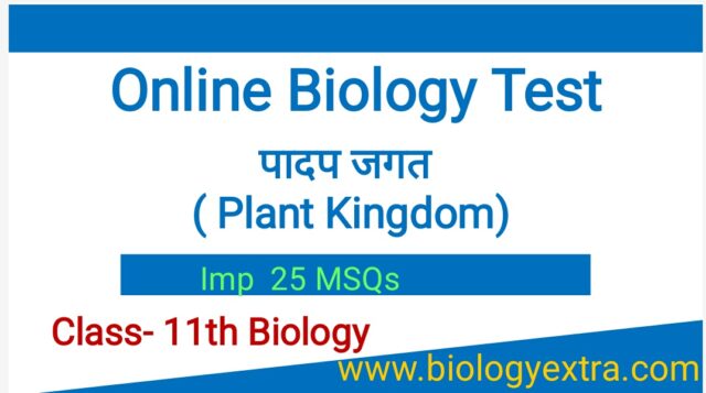 for website