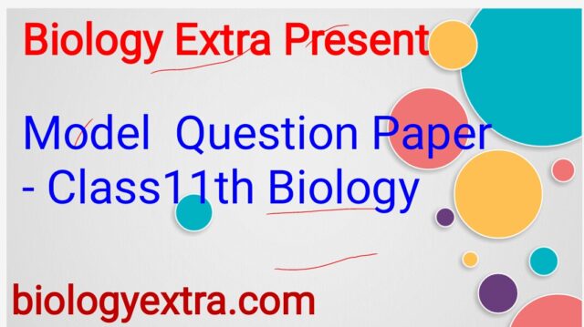 MODEL QUESTION PAPER 2021