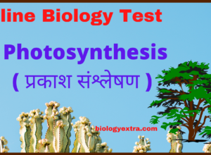Online Biology Test - Photosynthesis