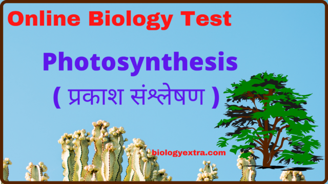 Online Biology Test - Photosynthesis