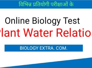 Online Biology test plant water relation