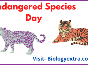 Endangered species day