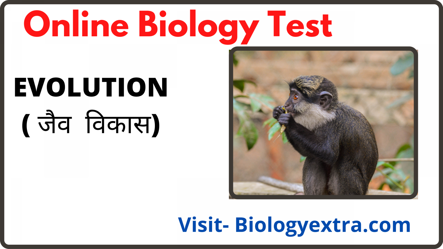 organic-evolution-quiz-biology-extra