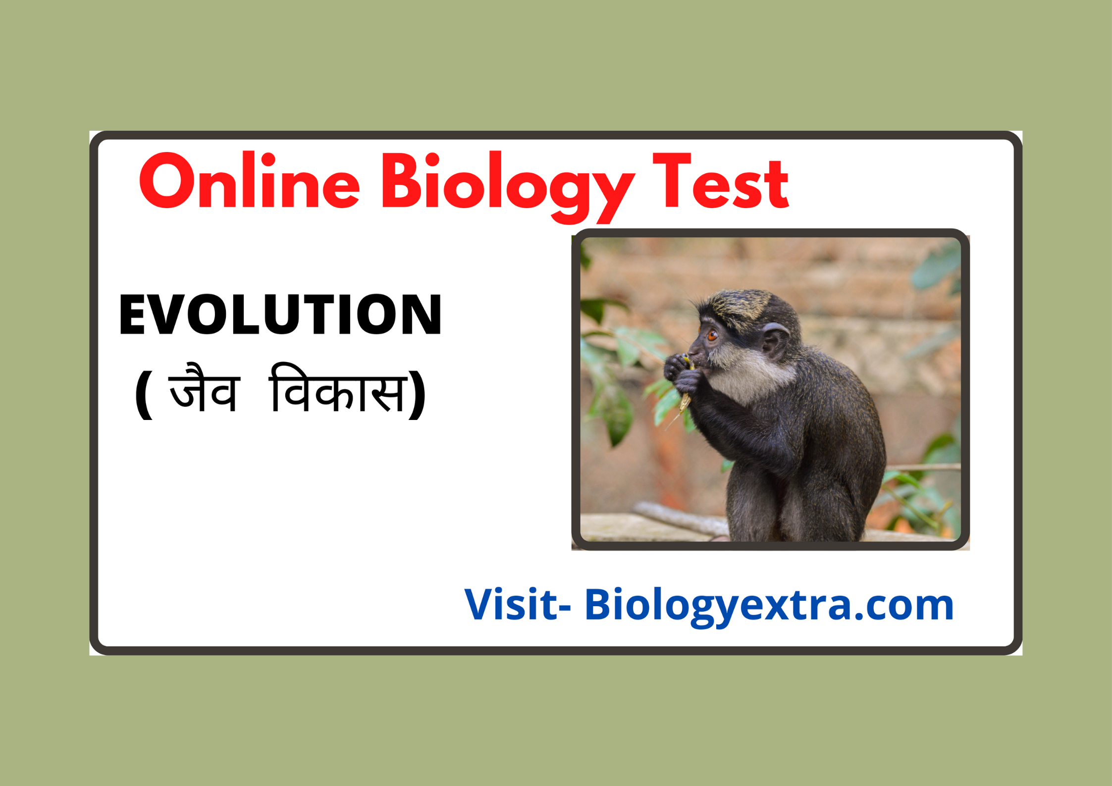 organic-evolution-biology-extra