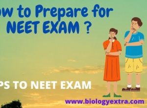 How to Prepare for NEET EXAM