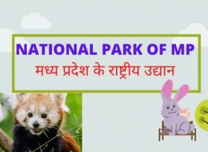 NATIONAL PARK OF MP