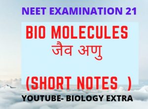bio-molecules-short-notes