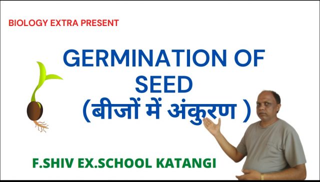 germination-of-seed