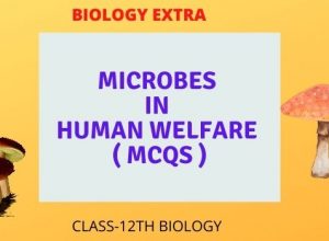 microbes in human welfare (mcqS0