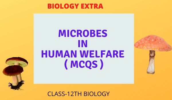 microbes in human welfare (mcqS0