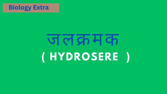 hydrosere