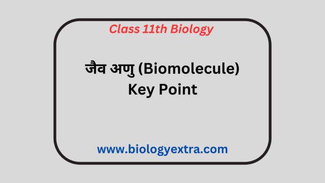 जैव अणु ( biomolecule ) key points