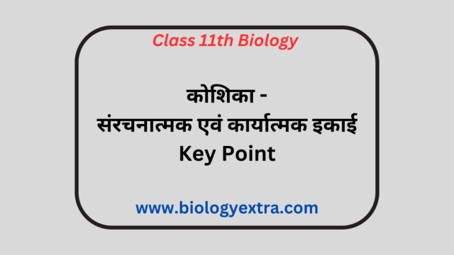 कोशिका-संरचनात्मक-एवं-कार्यात्मक-इकाई-Key-Point
