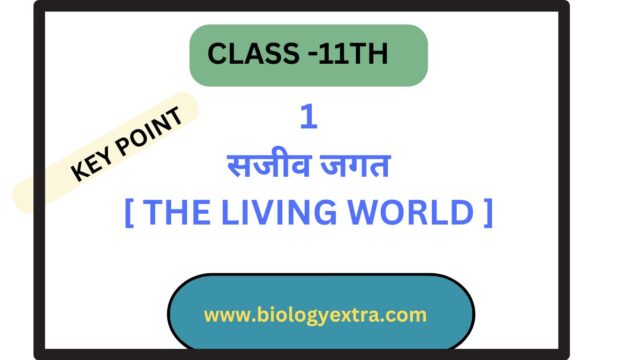 Chapter 1. सजीव जगत [THE LIVING WORLD]