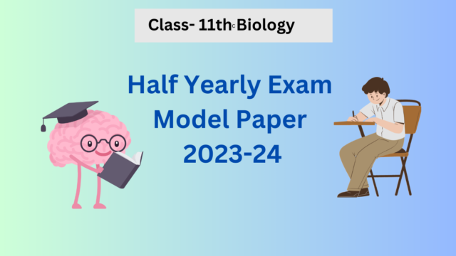 Half Yearly Exam Model Paper 2023-24