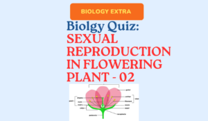 Sexual-Reproduction-in-Flowering