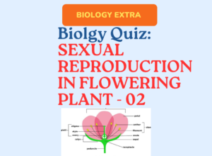 Sexual-Reproduction-in-Flowering