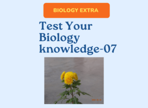 Test Your Biology knowledge -07
