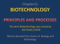 MP Board examination 2024-25 -Biotechnology-Principles-and-Processes