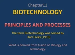 MP Board examination 2024-25 -Biotechnology-Principles-and-Processes