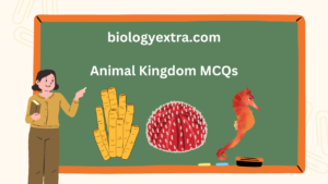 Animal Kingdom के 25 महत्वपूर्ण MCQs हिंदी में – कक्षा 11 जीवविज्ञान के लिए उपयोगी प्रश्न उत्तर सहित