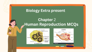 Human Reproduction MCQs