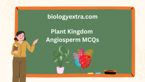 Plant Kingdom Angiosperm MCQs with answers for NEET and Class 11 Biology