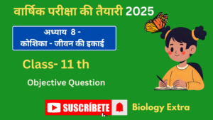 Preperation of Annul Exam PART 01